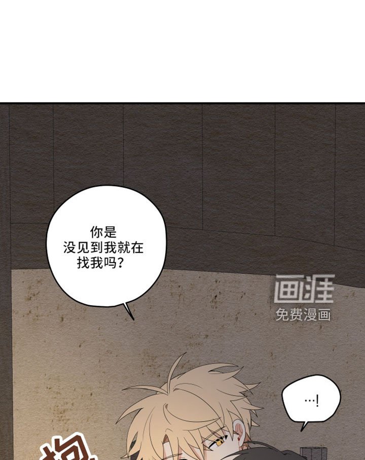 第40章：别推开