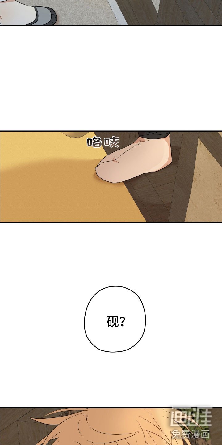 第46章：找到了（第一季完结）