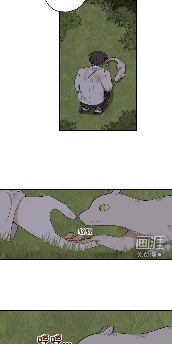第47章：【番外】抓鱼