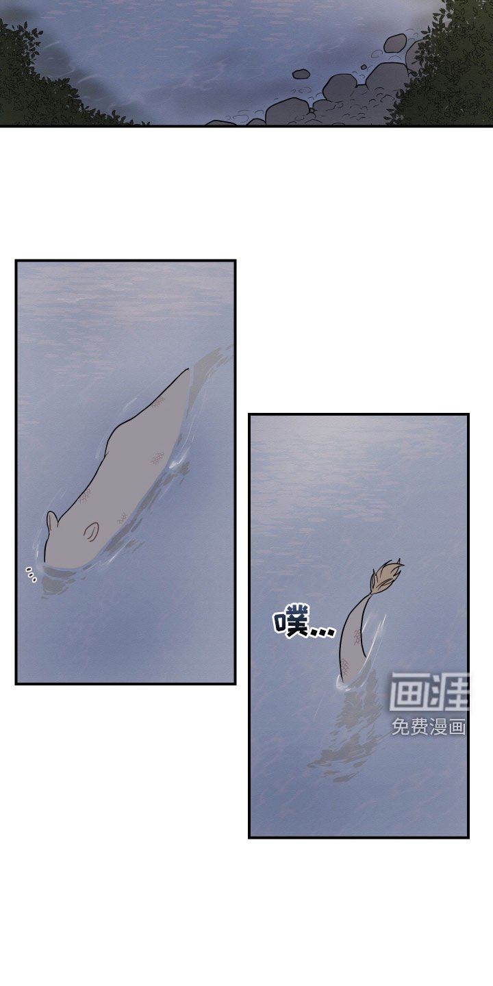 第47章：【番外】抓鱼