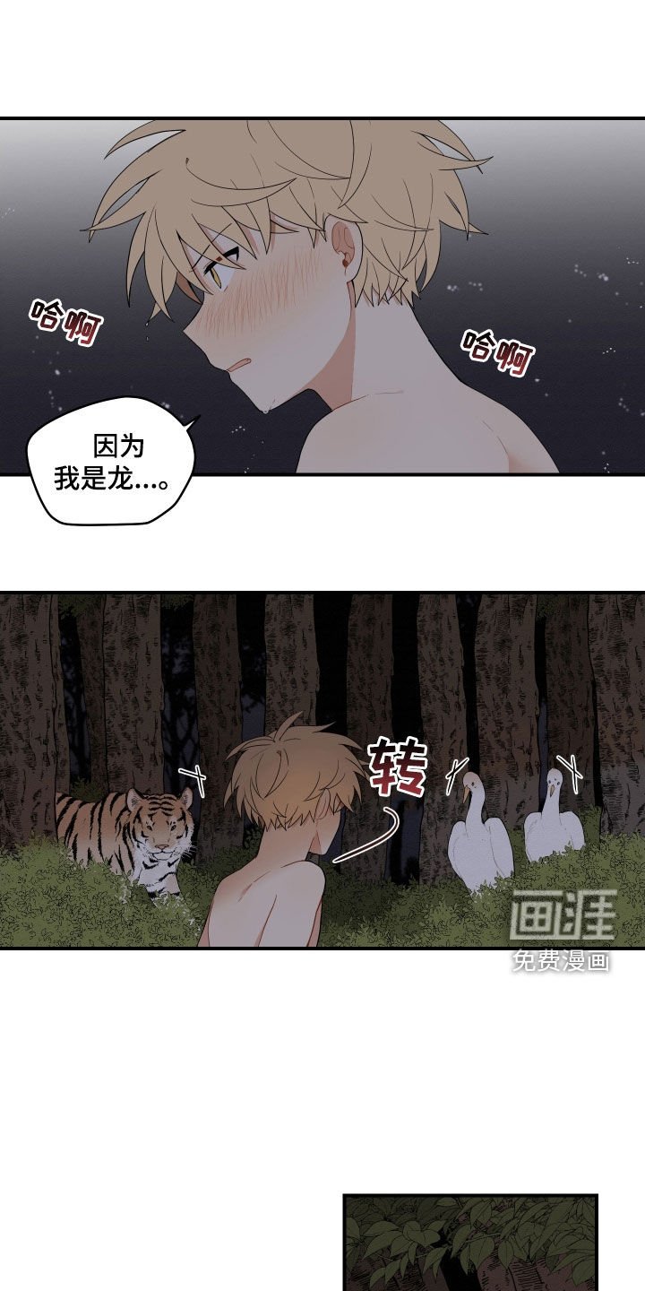 第47章：【番外】抓鱼