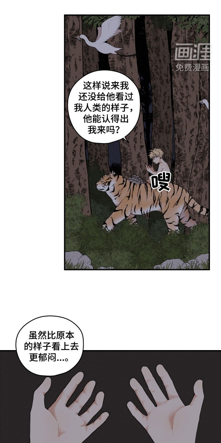 第48章：【番外】好冷