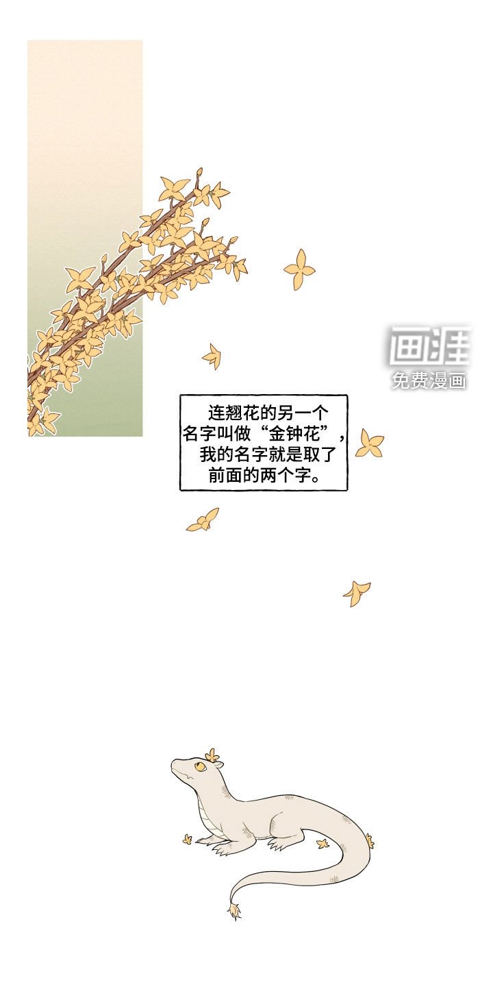第49章：【番外】练习