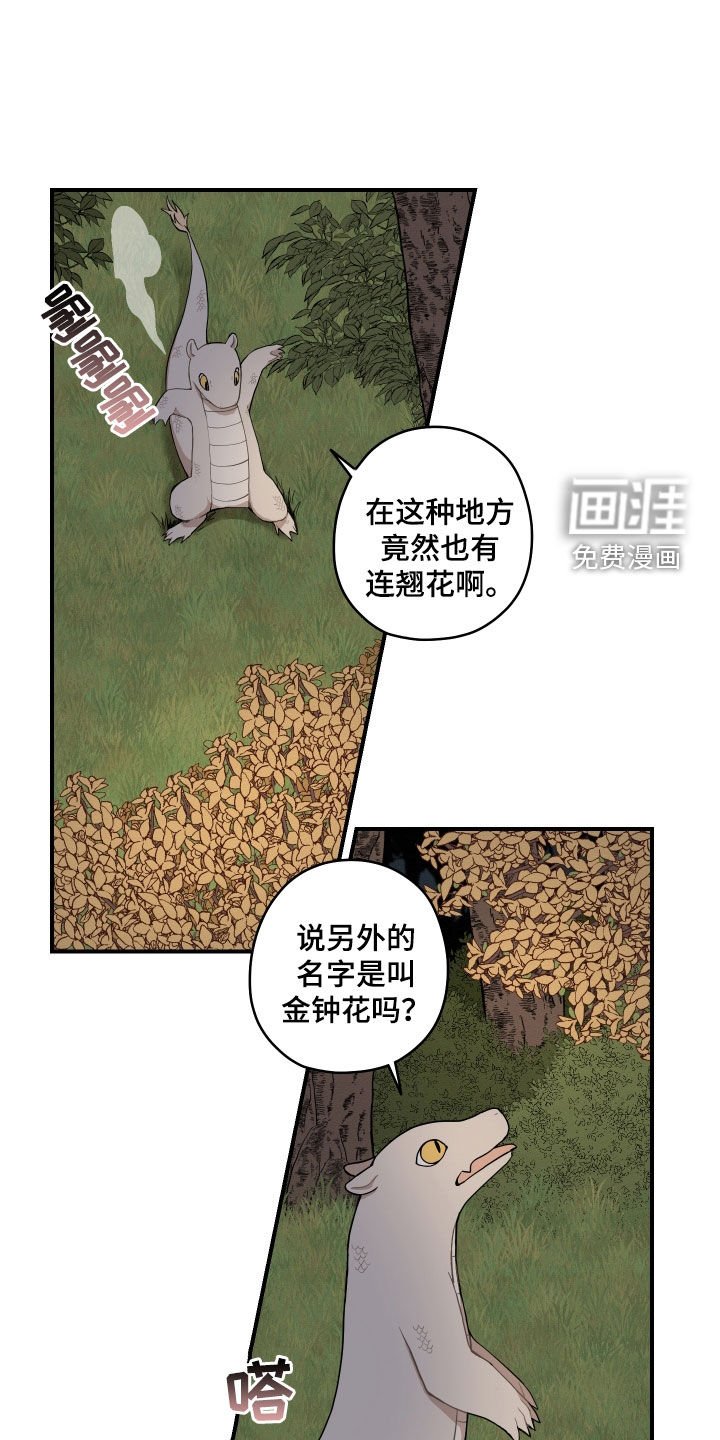 第49章：【番外】练习