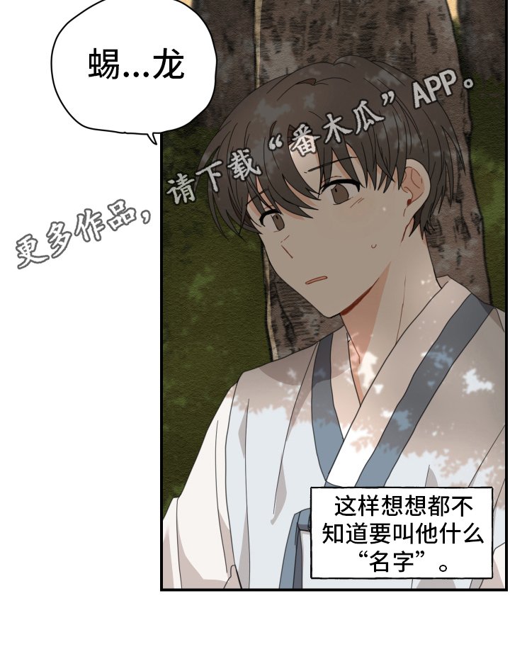 第5章：洗碗