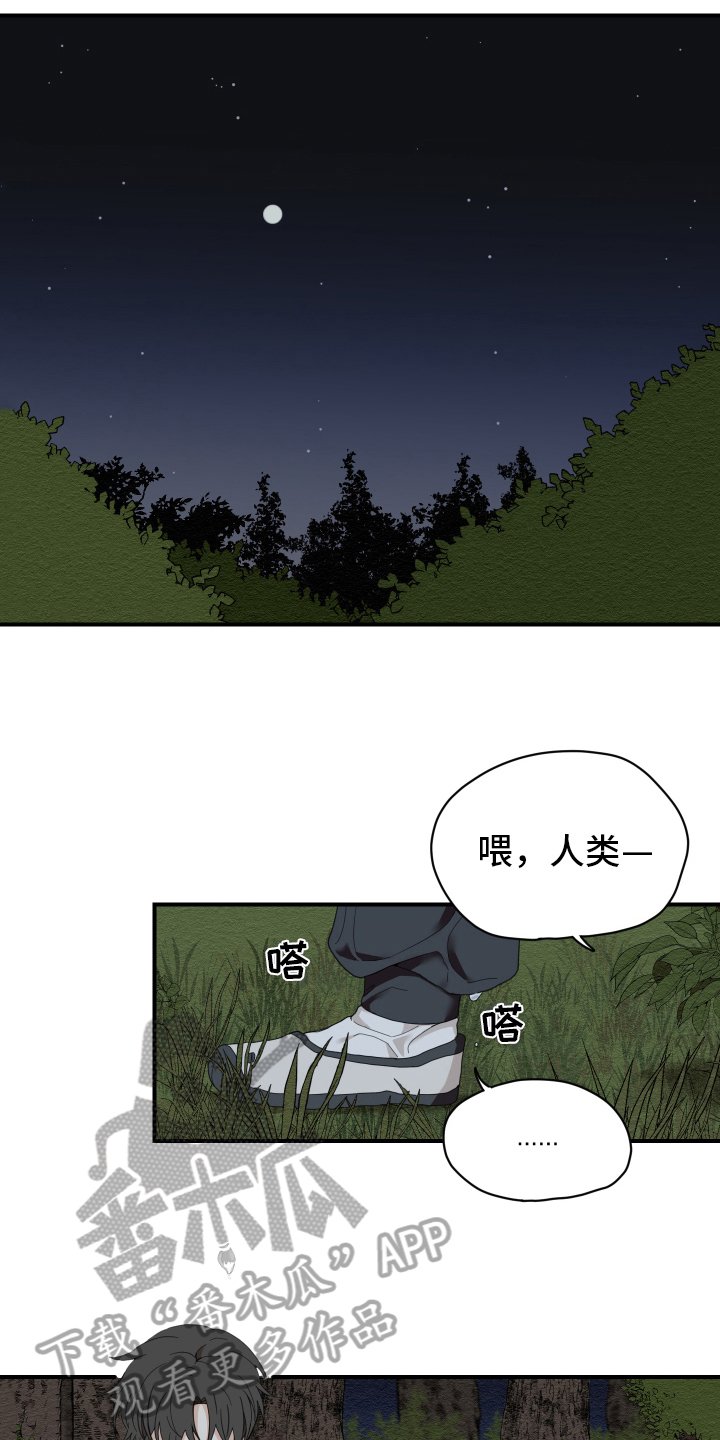 第6章：失误