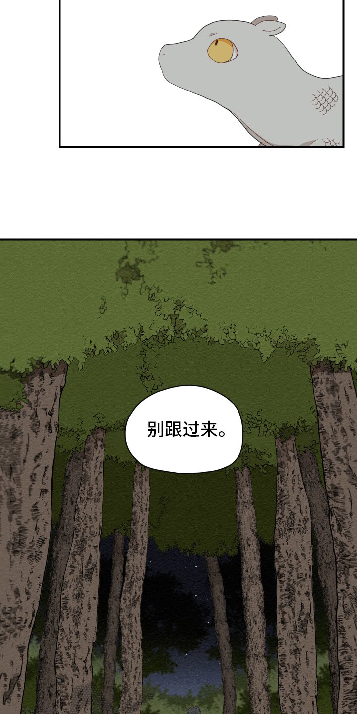 第7章：烤鱼