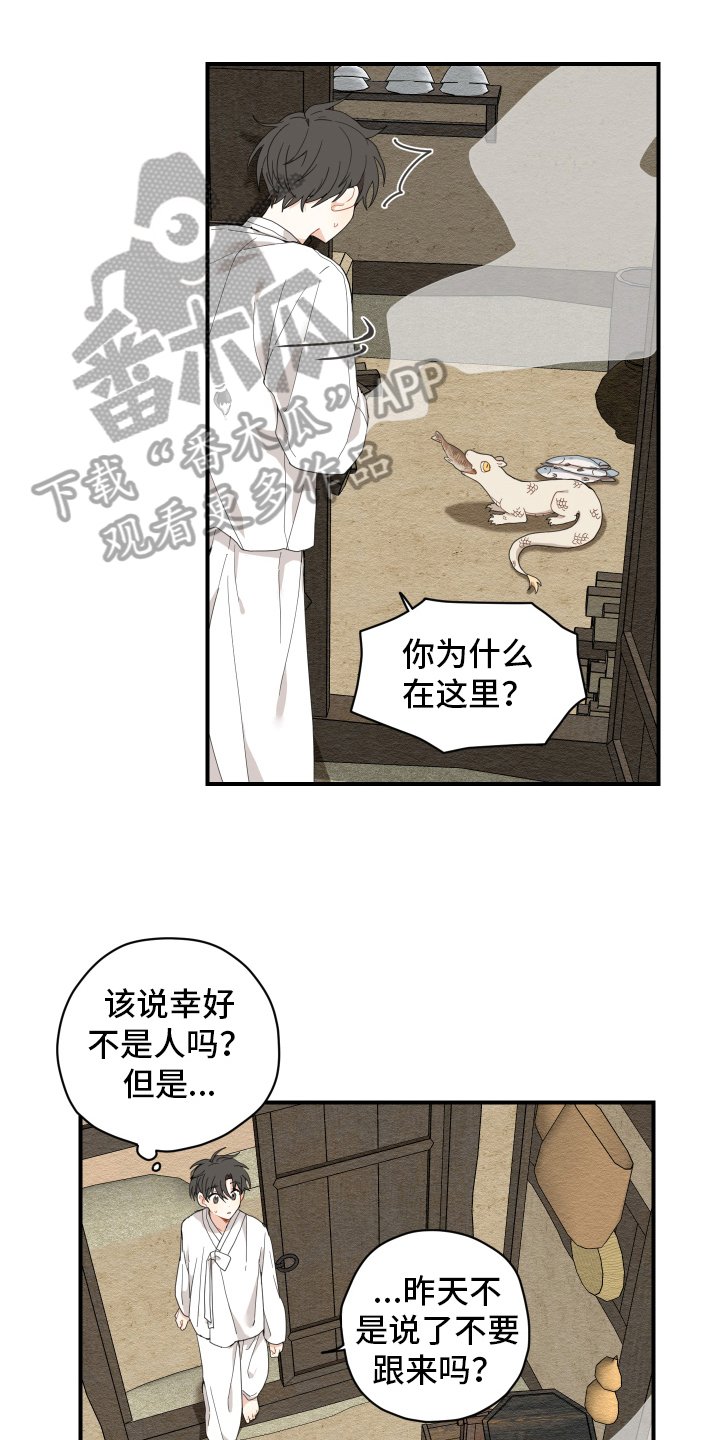 第8章：抓鱼
