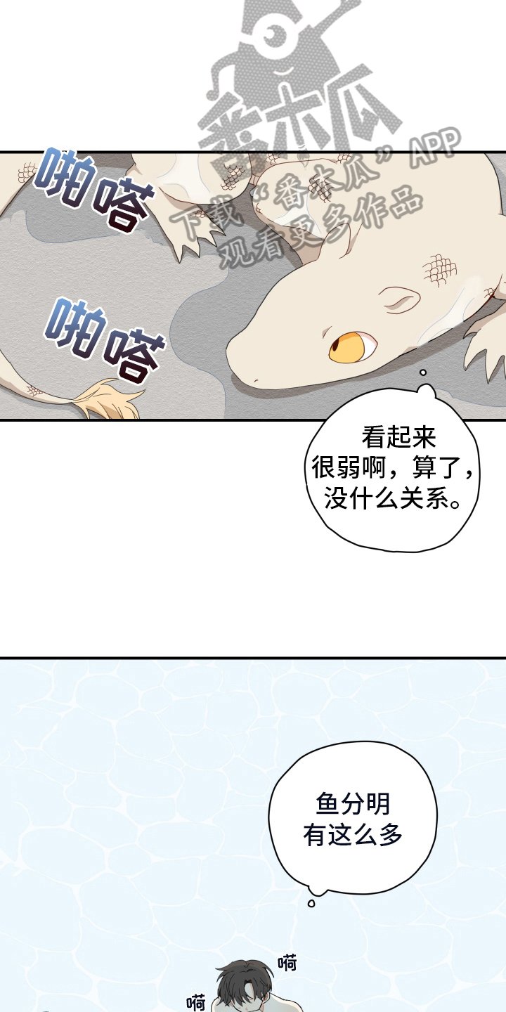 第8章：抓鱼