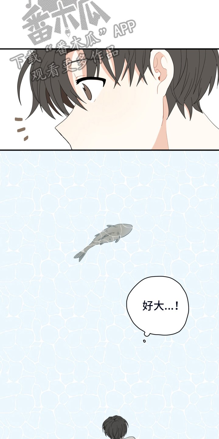 第8章：抓鱼