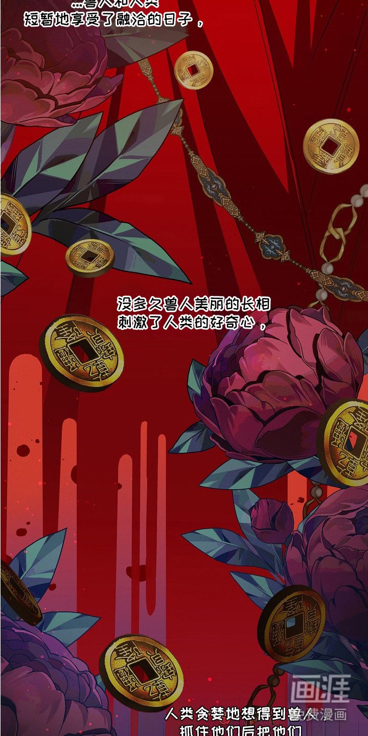 第1章：兽人