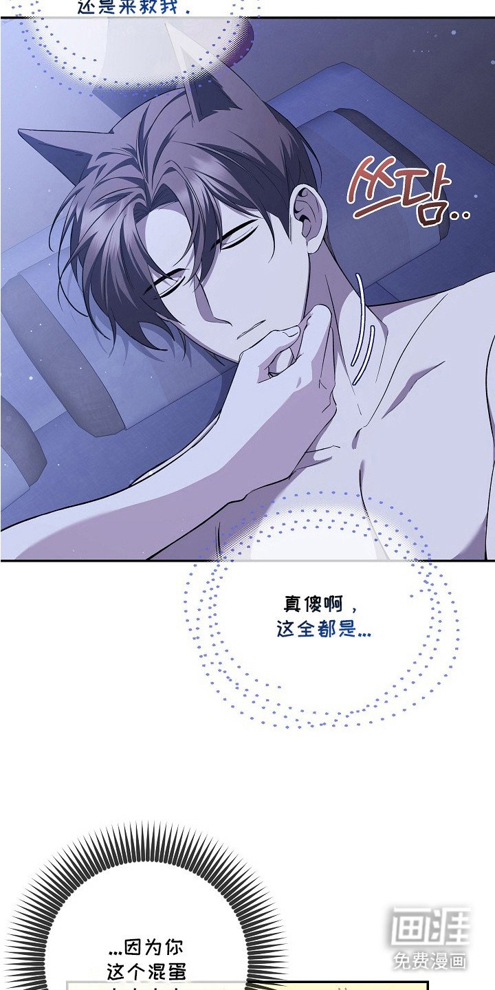 第11章：难过的表情
