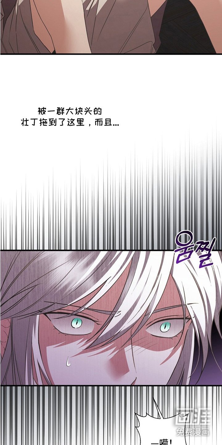 第7章：拍卖会