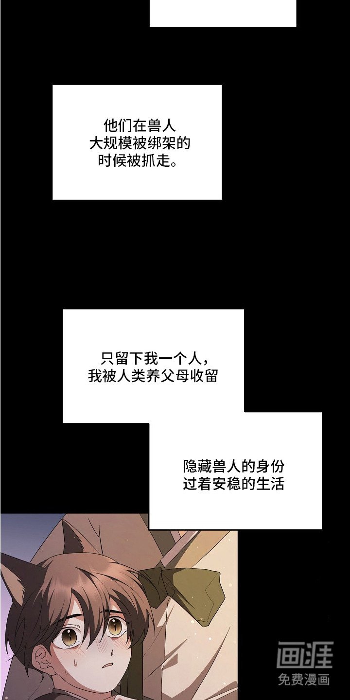 第8章：结束闹剧