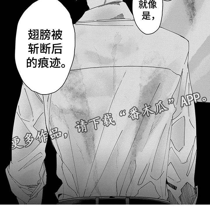 第18章：善意的谎言