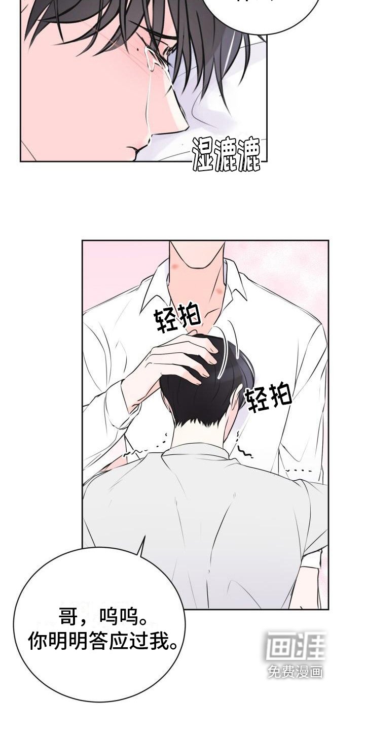 第12章：约定