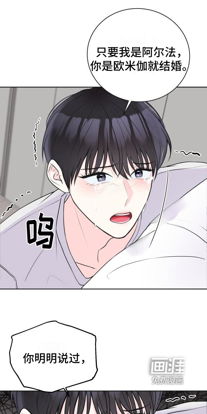 第12章：约定