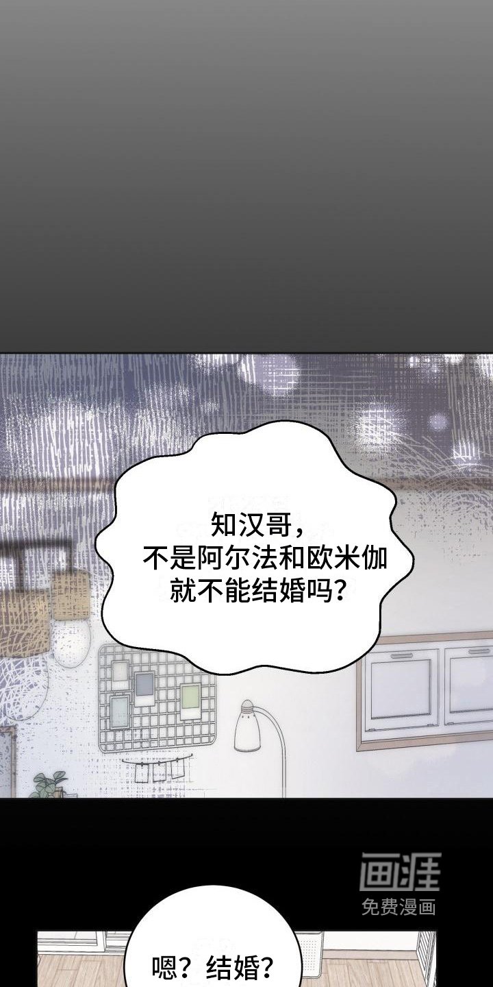 第12章：约定