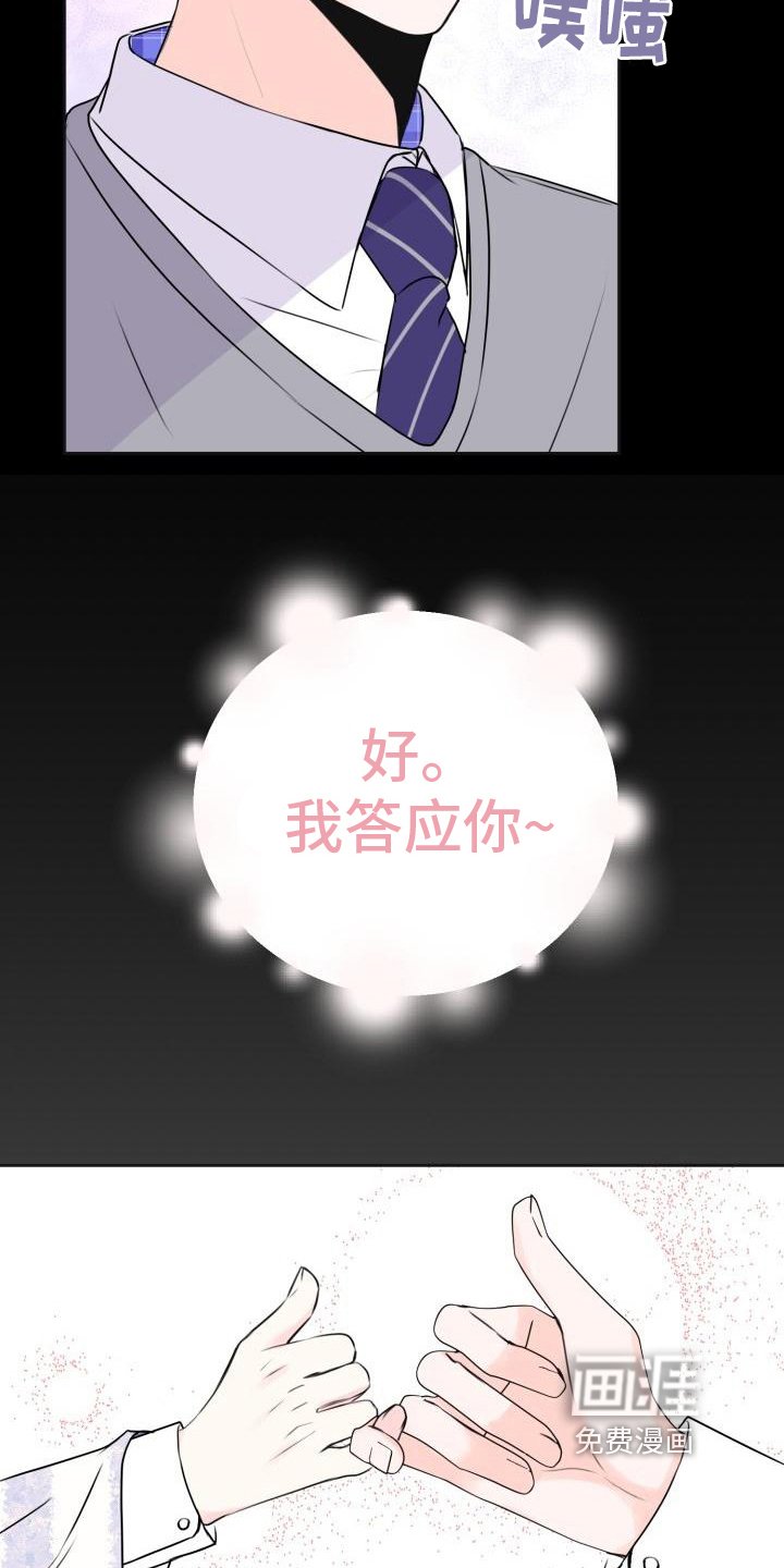 第12章：约定