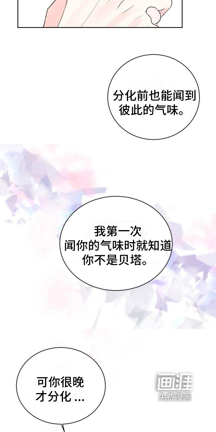 第12章：约定