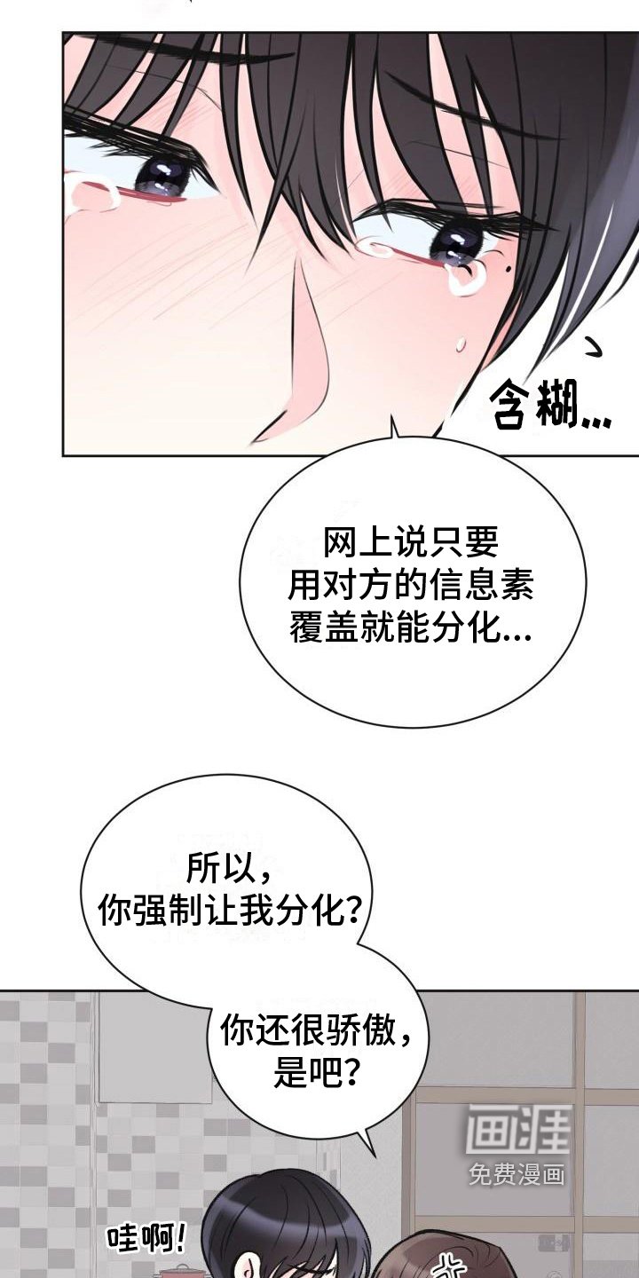 第12章：约定