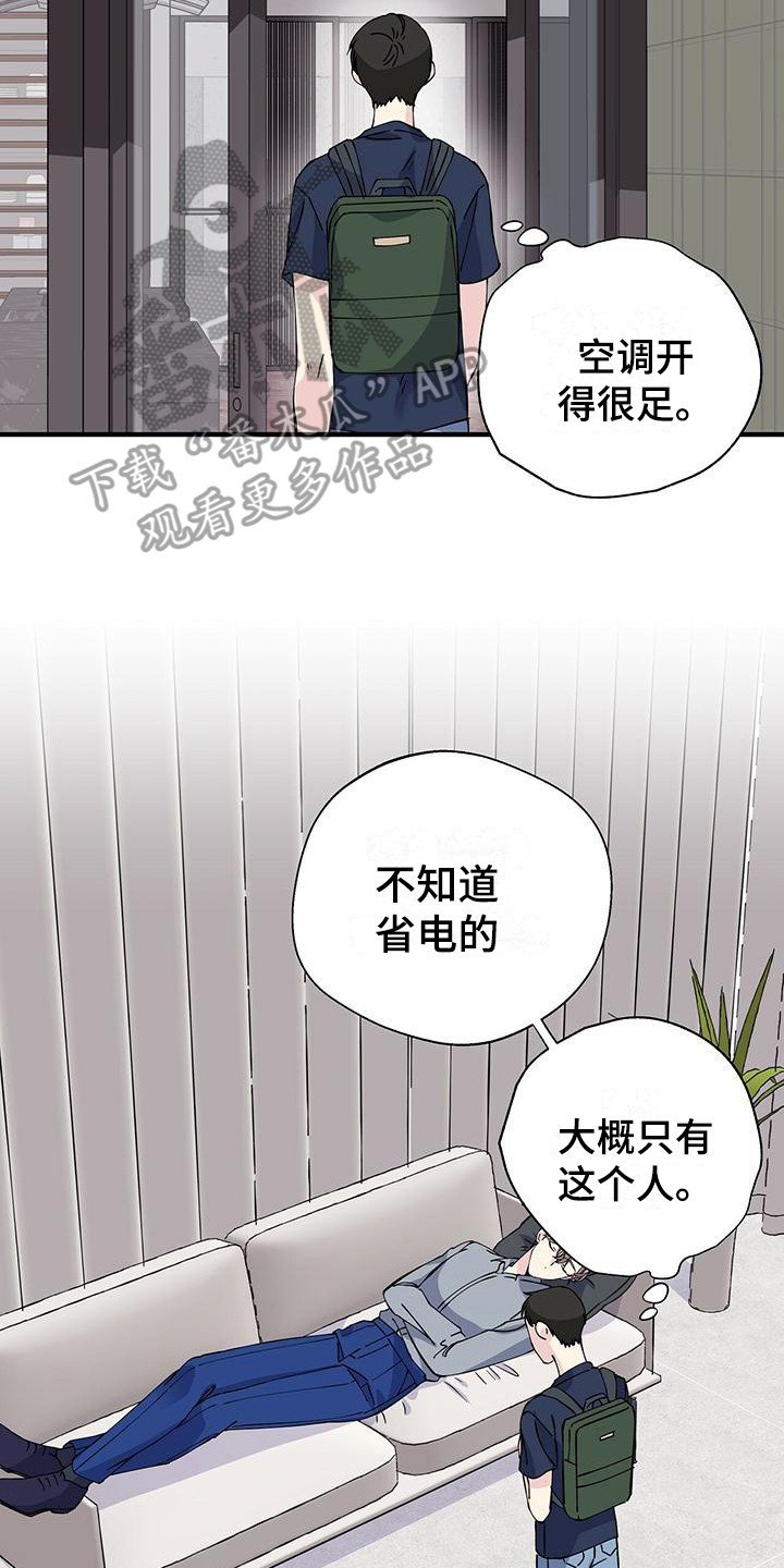 第13章：发型