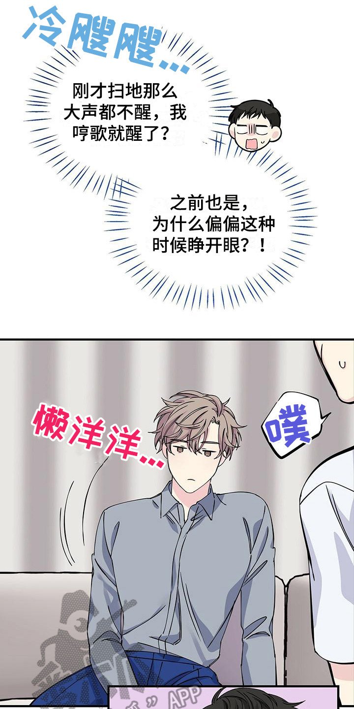 第13章：发型