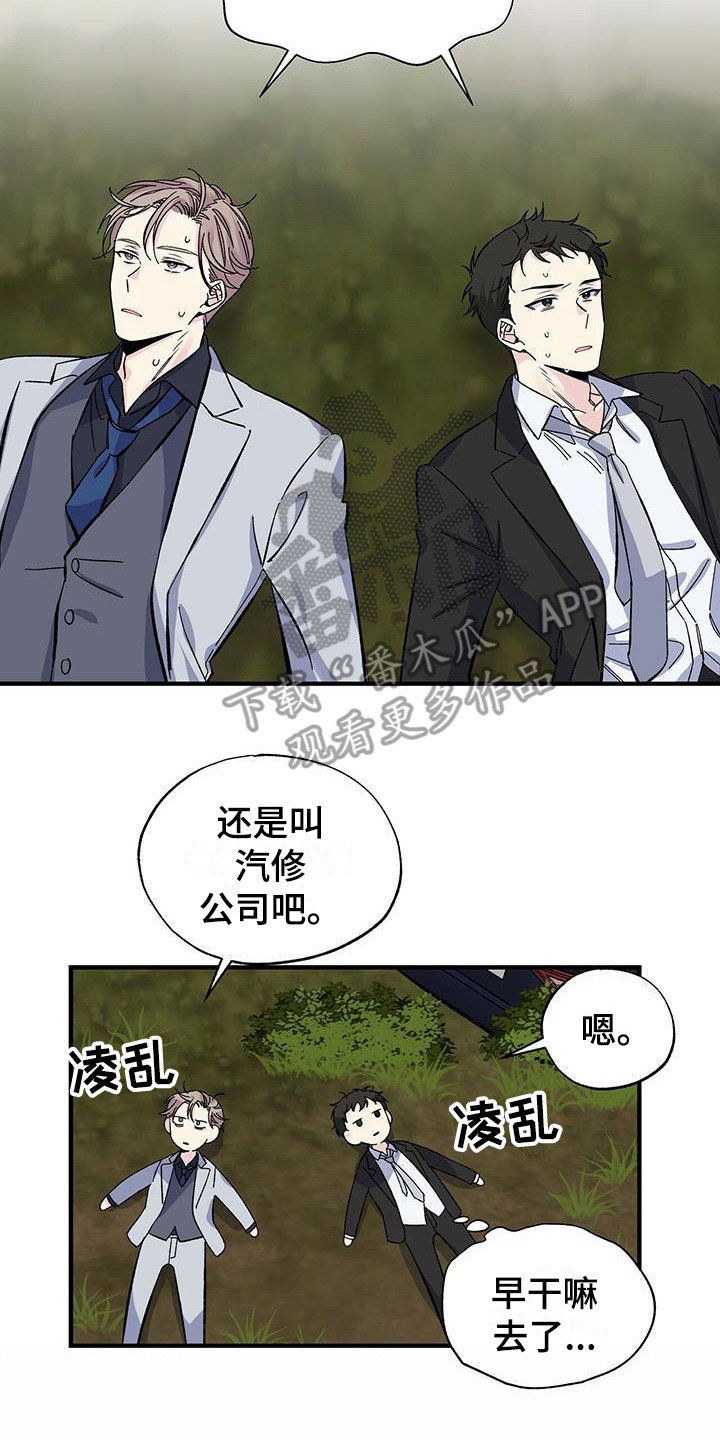 第29章：固执