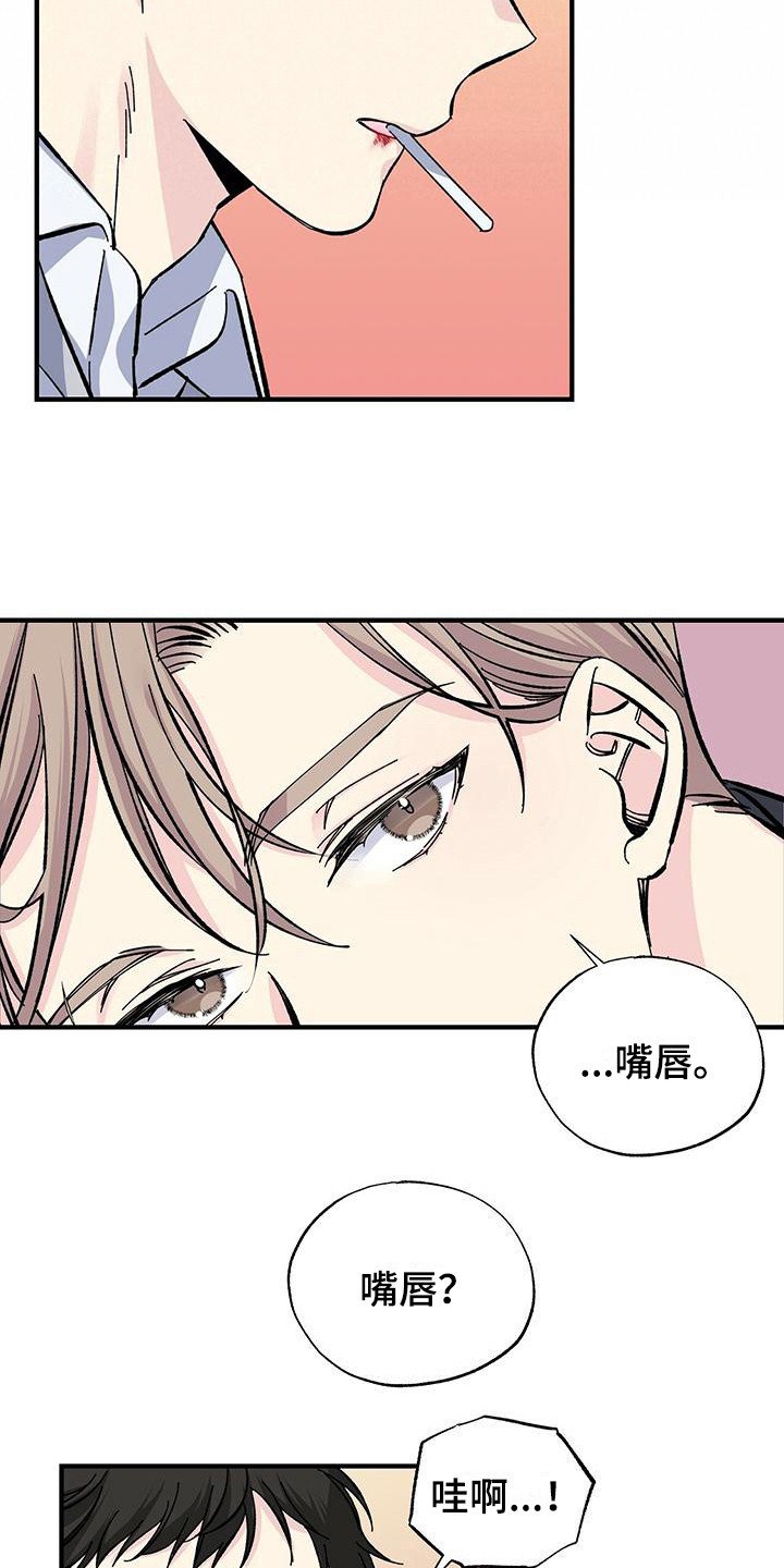 第29章：固执