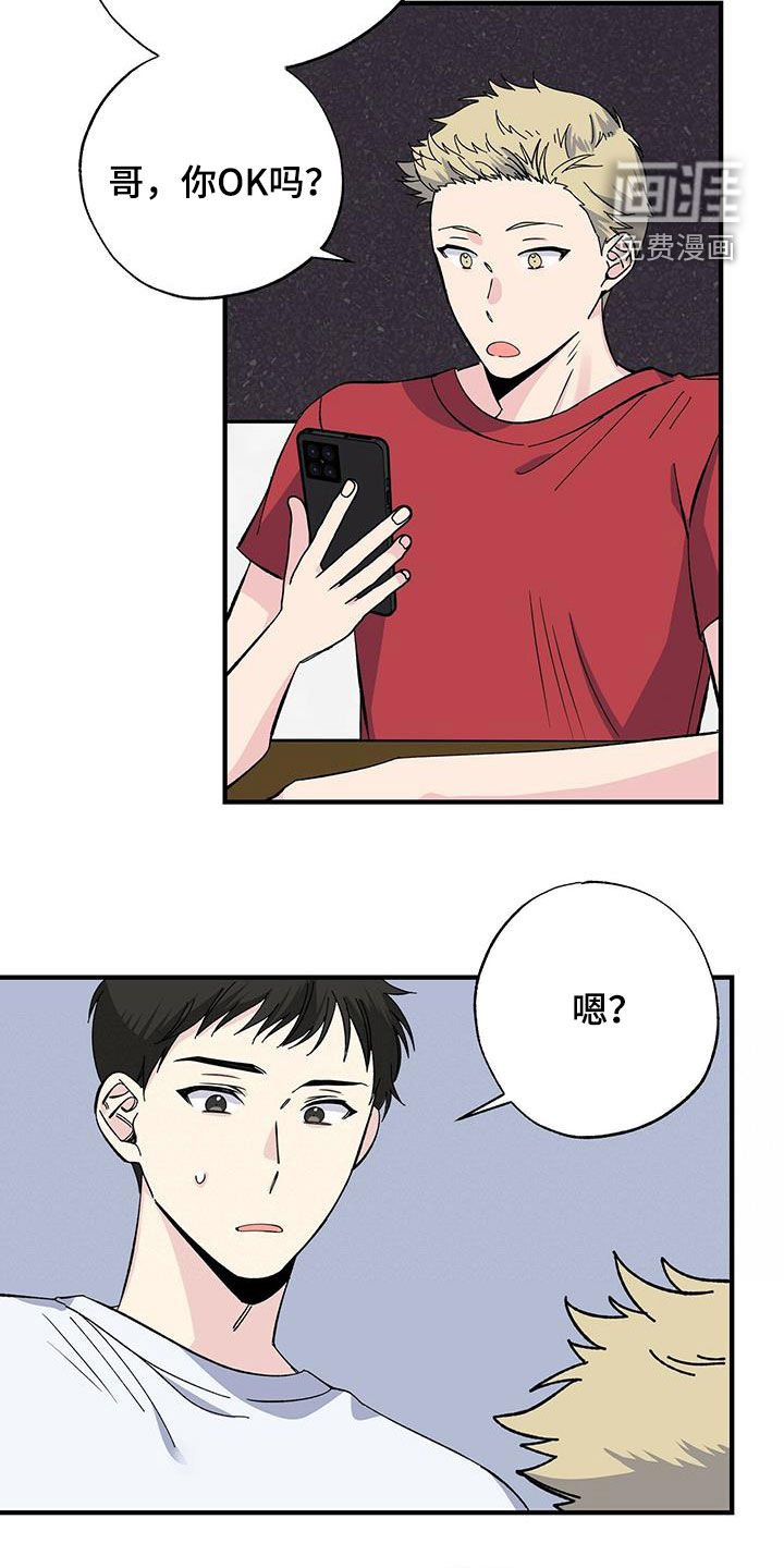 第42章：天价话费