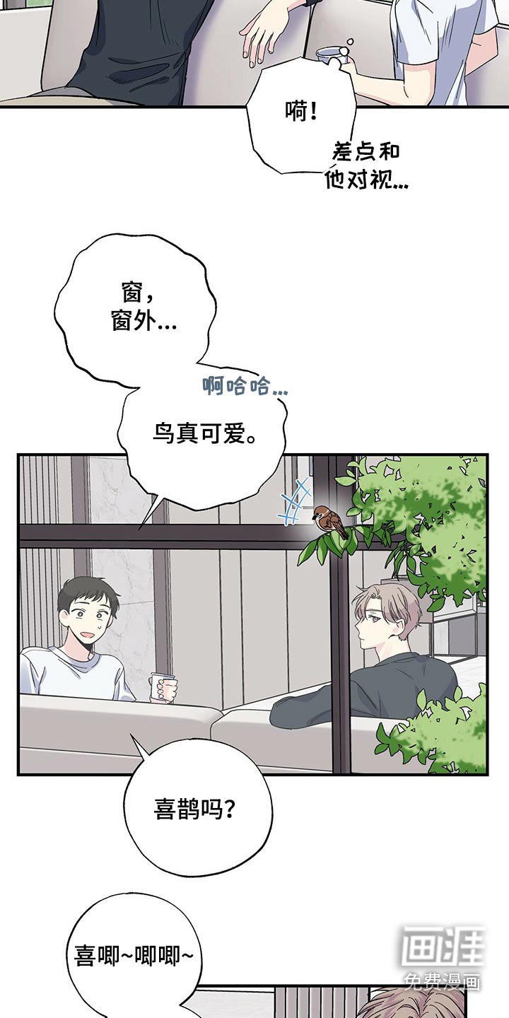 第51章：咖啡机