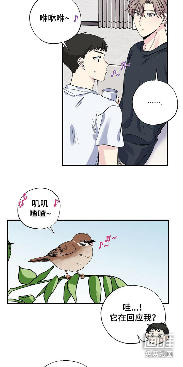第51章：咖啡机