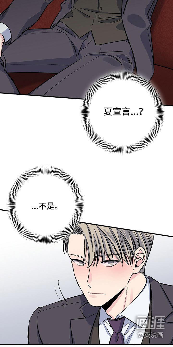 第52章：到处都是