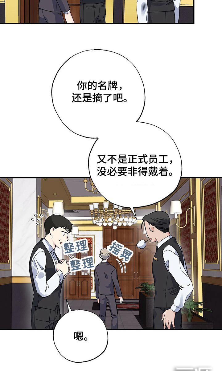 第52章：到处都是