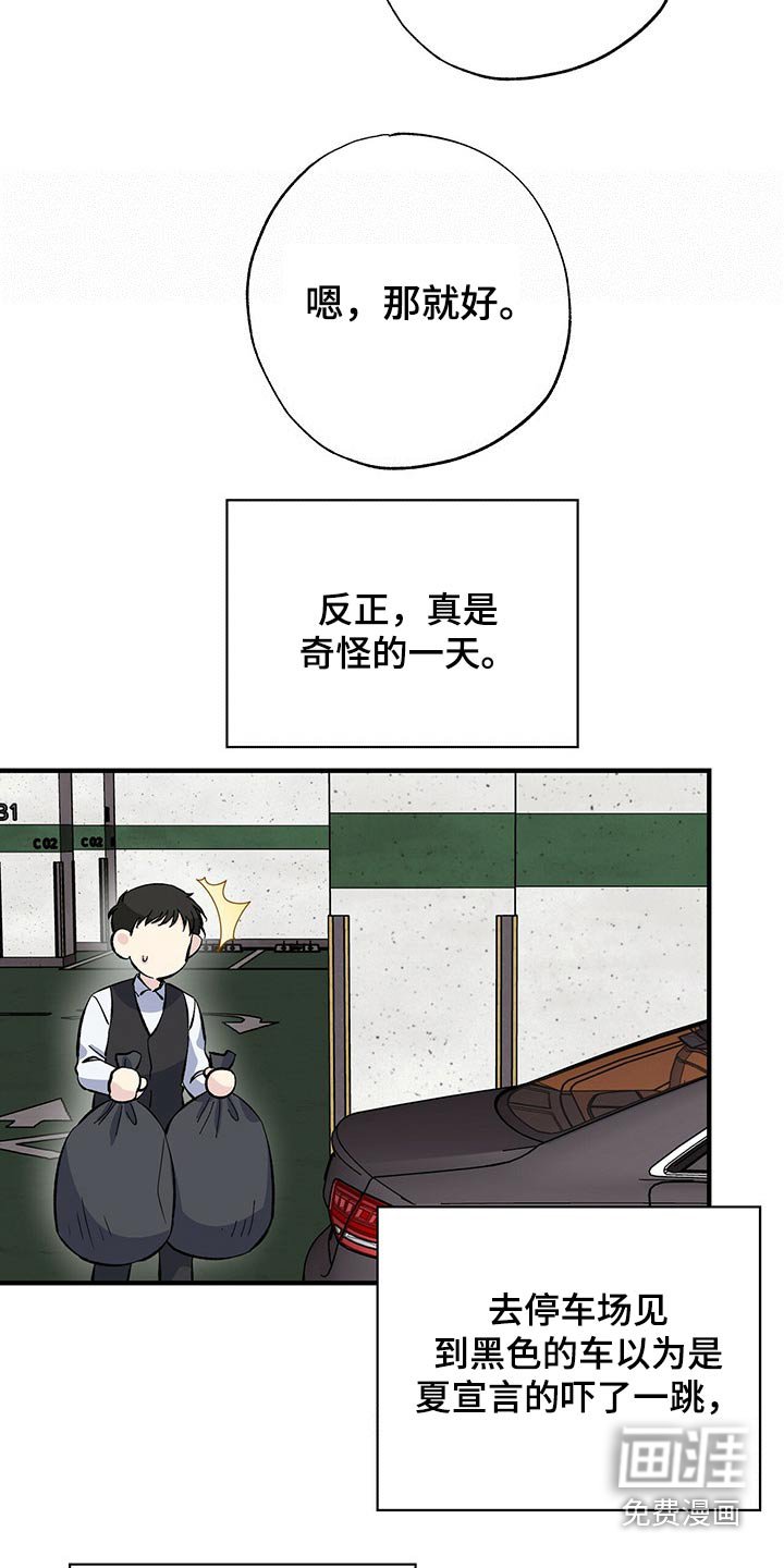 第52章：到处都是