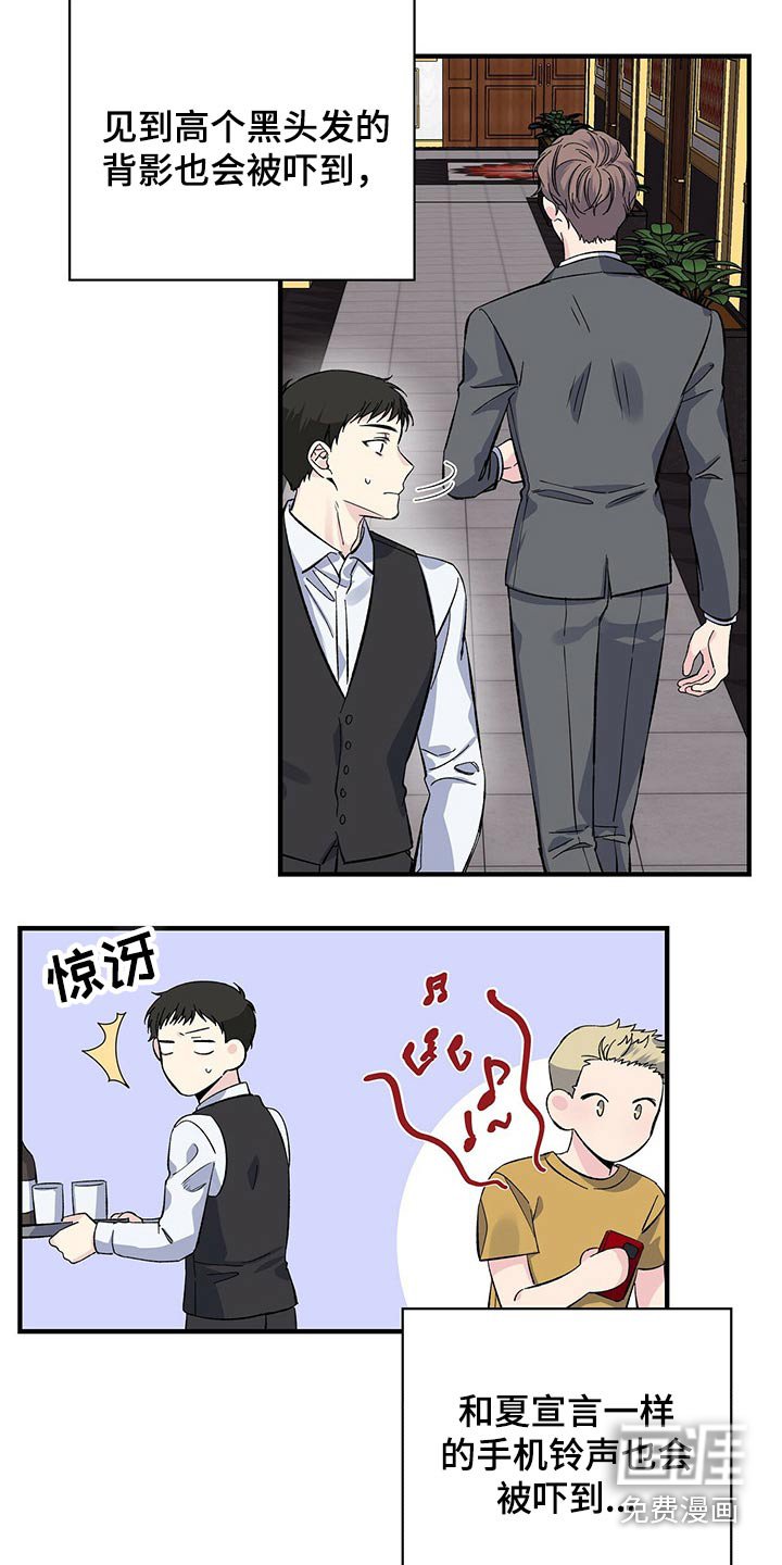 第52章：到处都是