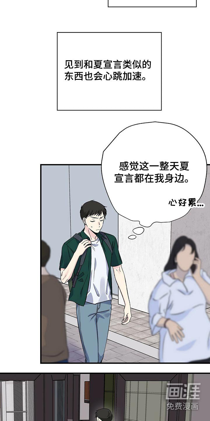 第52章：到处都是