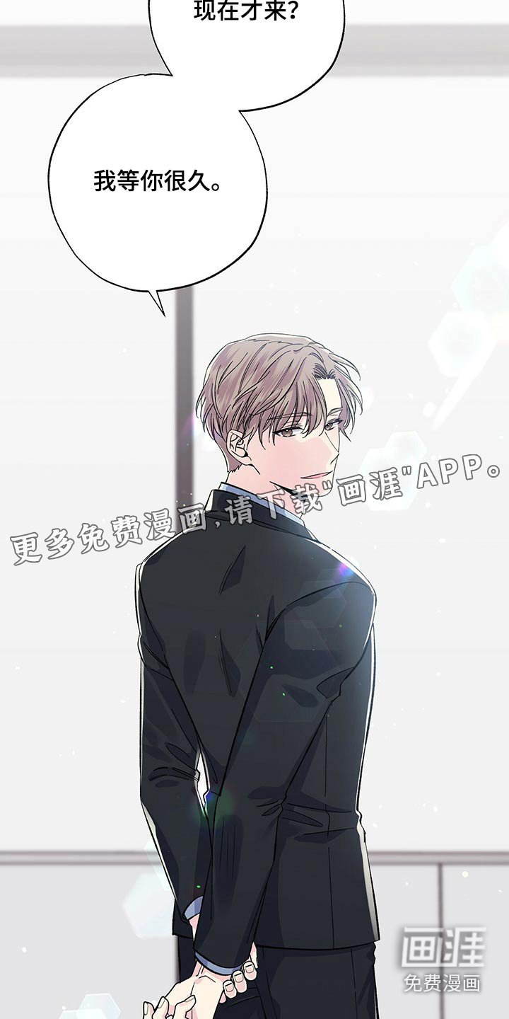 第52章：到处都是