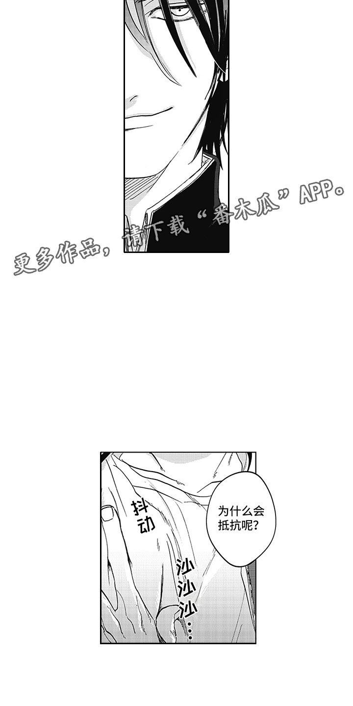 第12章：真假