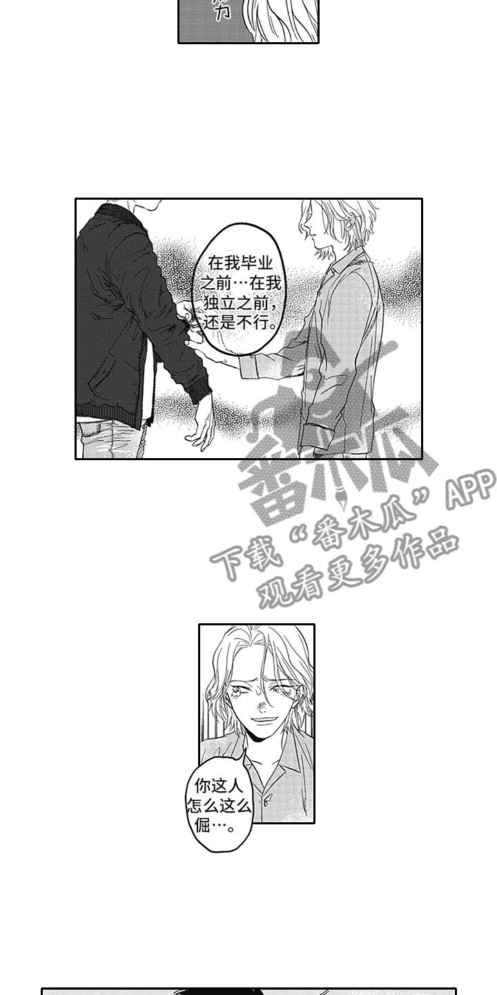 第19章：借手