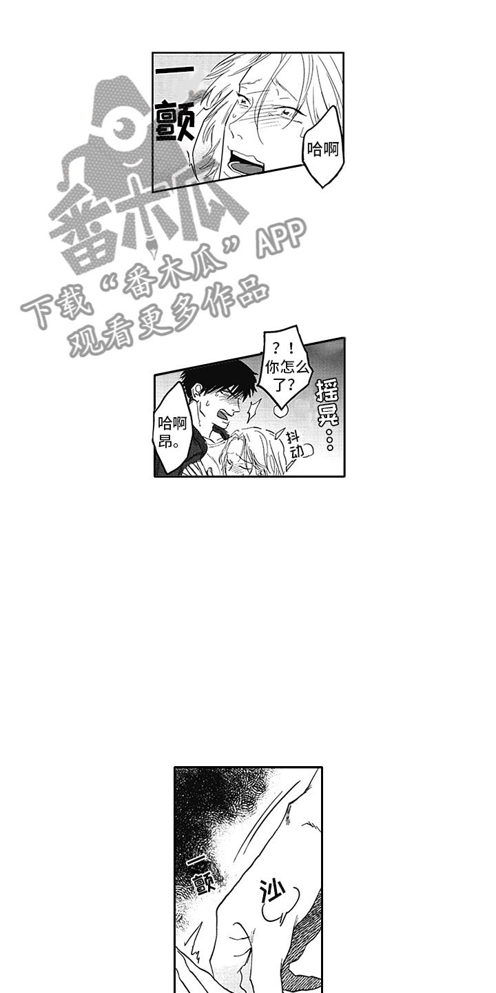 第19章：借手