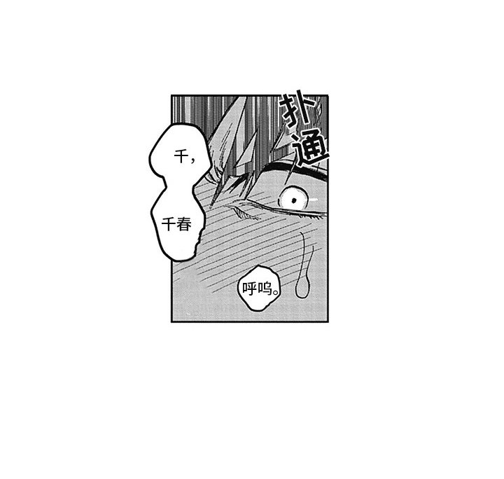 第19章：借手