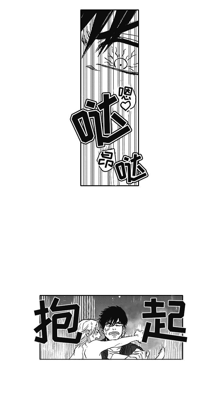 第19章：借手
