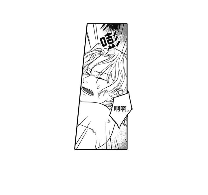 第19章：借手