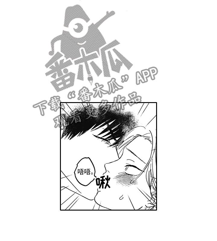 第19章：借手