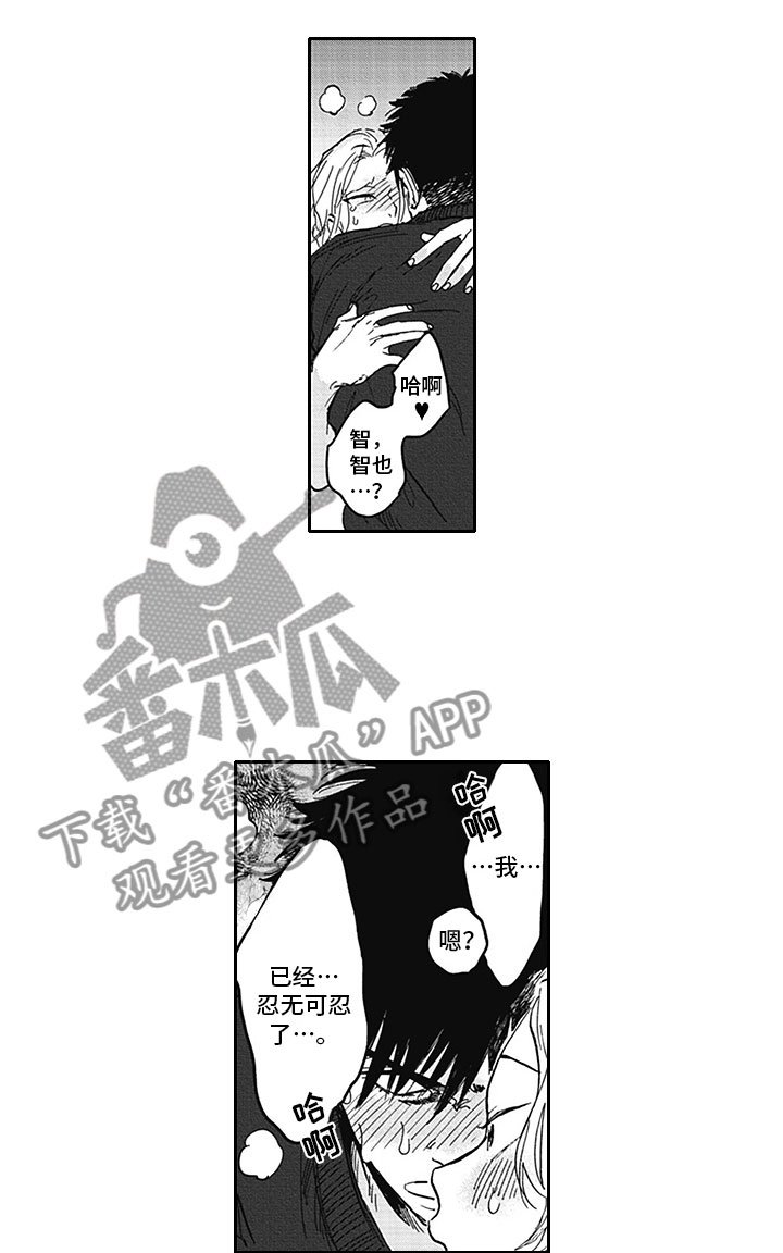 第19章：借手