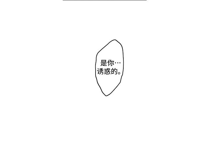 第19章：借手