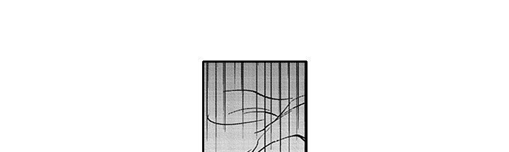 第20章：求婚