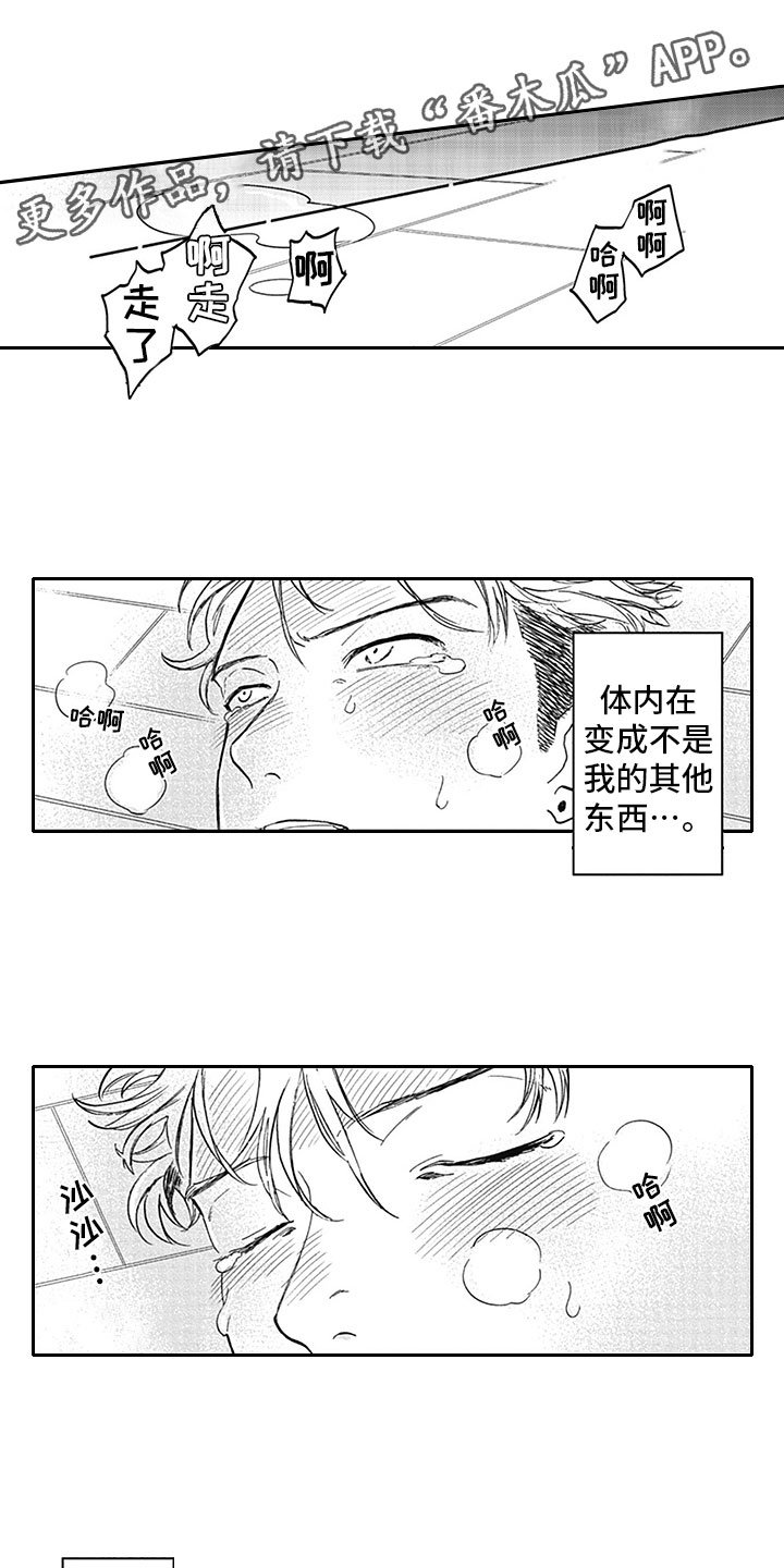 第5章：纠缠