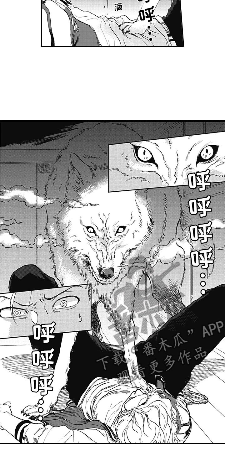 第6章：真面目
